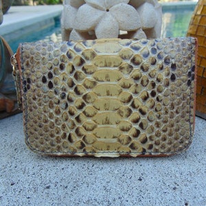 Cartera de mujer de piel de serpiente pitón auténtica, piel de serpiente auténtica, original, con cremallera alrededor.