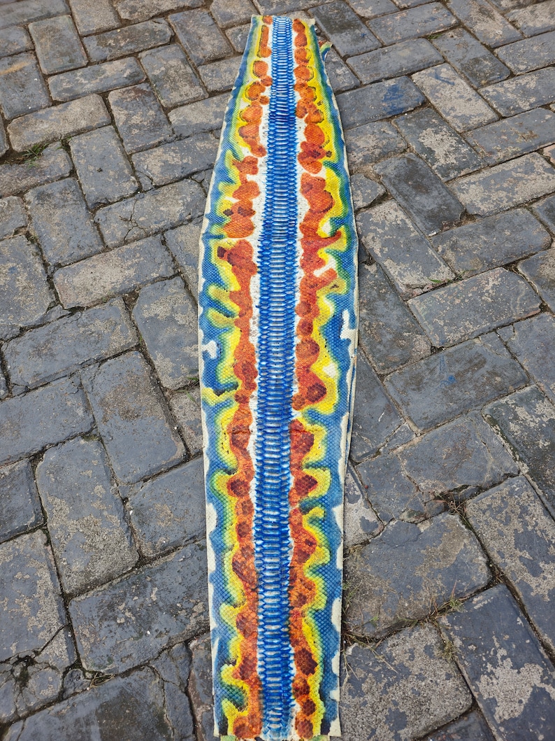 May include: A long, colourful snake skin with a blue, yellow and orange pattern. The skin is laid out flat on a grey brick surface.