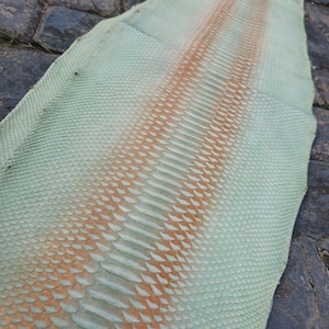 59 Zoll Echt Python Schlangenhaut aus echtem Leder machen Taschen Jacken ect. echte Schlangenhaut authentische Fellhaut