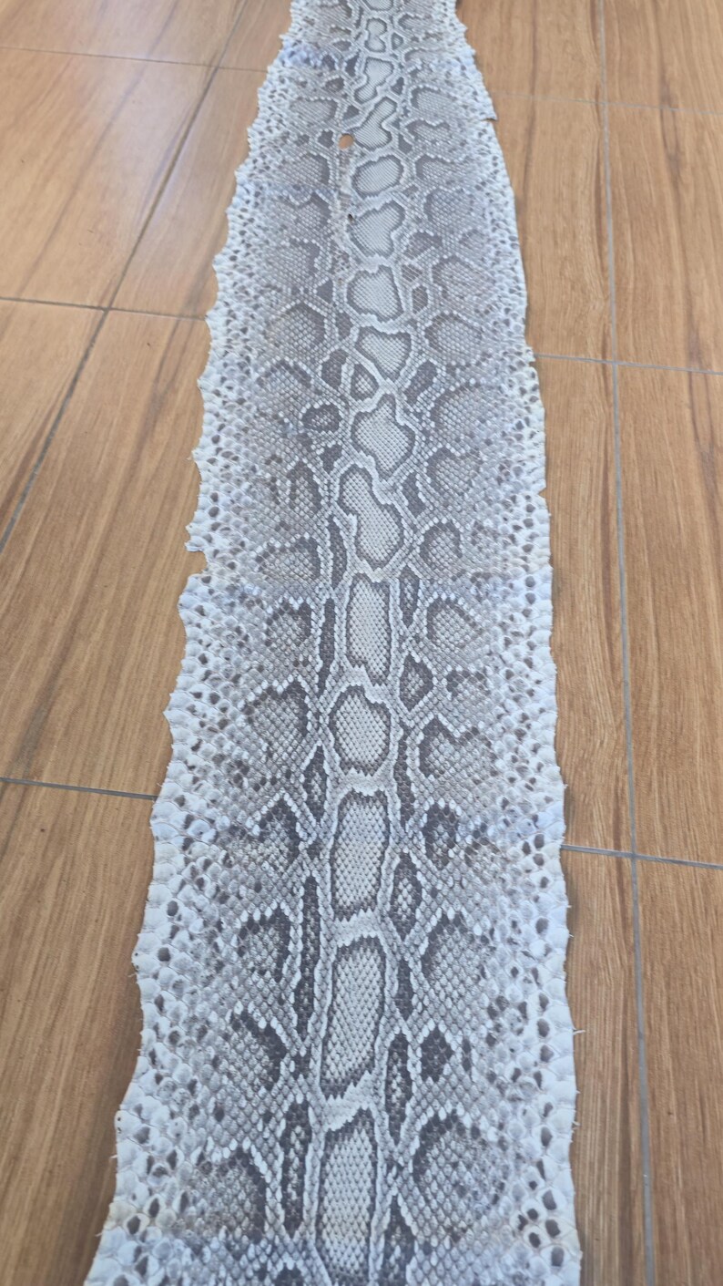 Peut inclure: Une peau de serpent tann&eacute;e, longue et plate, pr&eacute;sentant un motif r&eacute;p&eacute;titif d'&eacute;cailles en forme de losange gris et blanc. La peau est allong&eacute;e et &eacute;troite, affichant une texture naturelle avec un motif central distinct et des bords irr&eacute;guliers.