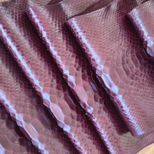 Python Snakeskin Hide: 133 inch Real Leather