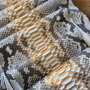 Genuine Python Snake Skin Hide: Tanned Leather for Bags, Jackets