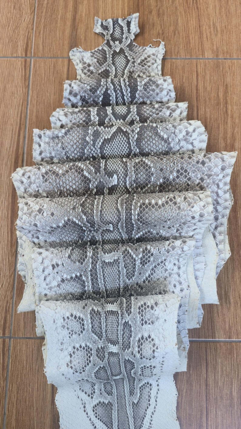 May include: A single piece of natural snakeskin leather featuring a repeating diamond-shaped scale pattern in shades of off-white, light gray, and dark charcoal. The hide is folded in a layered, accordion-style arrangement to display the texture.