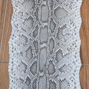 Vera pelle di pitone birmano: 128 pollici Vera pelle n. 17