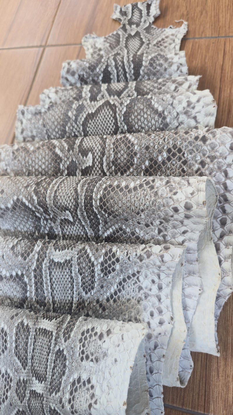 May include: A stack of multiple pieces of genuine snakeskin leather featuring a natural grey, white, and black scale pattern. Each piece is layered to show the textured, overlapping scales and the organic, irregular edges of the animal hide.