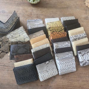 Python Snakeskin men Wallet   42 pcs. : Real Leather Clutch