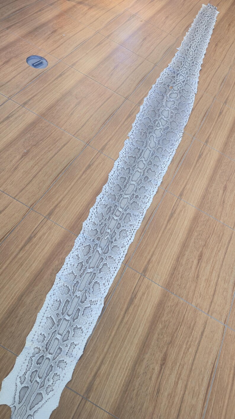 Peut inclure: Une longue mue de serpent pr&eacute;sentant un motif d'&eacute;cailles complexe et r&eacute;p&eacute;titif dans des tons blanc cass&eacute;, gris clair et anthracite. La peau est dispos&eacute;e en une ligne droite et allong&eacute;e, r&eacute;v&eacute;lant une surface naturelle et textur&eacute;e.