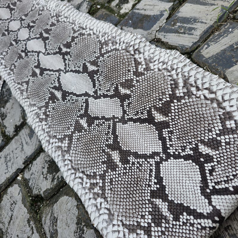 Real Snake Skin - Etsy
