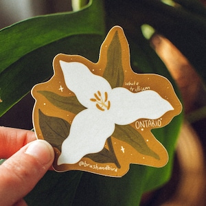 Ontario Sticker | White Trillium, Ontario Provincial, Flower Sticker, Waterproof Vinyl Sticker, Canadian Summer, Camping Sticker, Canada Art