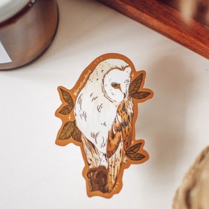 Barn Owl Sticker, Bird Sticker, Wildlife Sticker, Woodland Art, Waterproof Sticker, Vinyl Sticker, Animal Lover Art, Bird Lover Gift, Cute