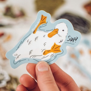 Cute Duck Sticker, Whats Up Duck, Bird Sticker, Wildlife Sticker, Woodland Art, Vinyl Sticker Decal, Animal Lover Art, Duck Lover Gift, Cute