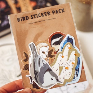 Bird Sticker Pack, Set of 5 Bird Stickers, Backyard Birds, Bird Nerd, Blue Jay Art, Cute Chickadee, Matching Sticker Set, Waterproof Vinyl