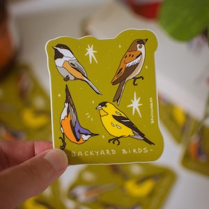 Sticker imperméable amateur d'oiseaux, oiseaux du jardin, mésange à tête noire, sittelle à poitrine rousse, chardonneret jaune, moineau domestique, décalcomanie en vinyle