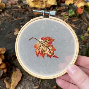 Autumn Leaf image 1