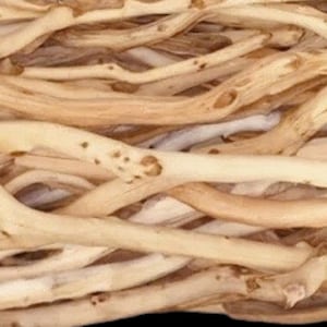 Custom Sandblasted Manzanita Bird Perch: All Natural, Secure Grip
