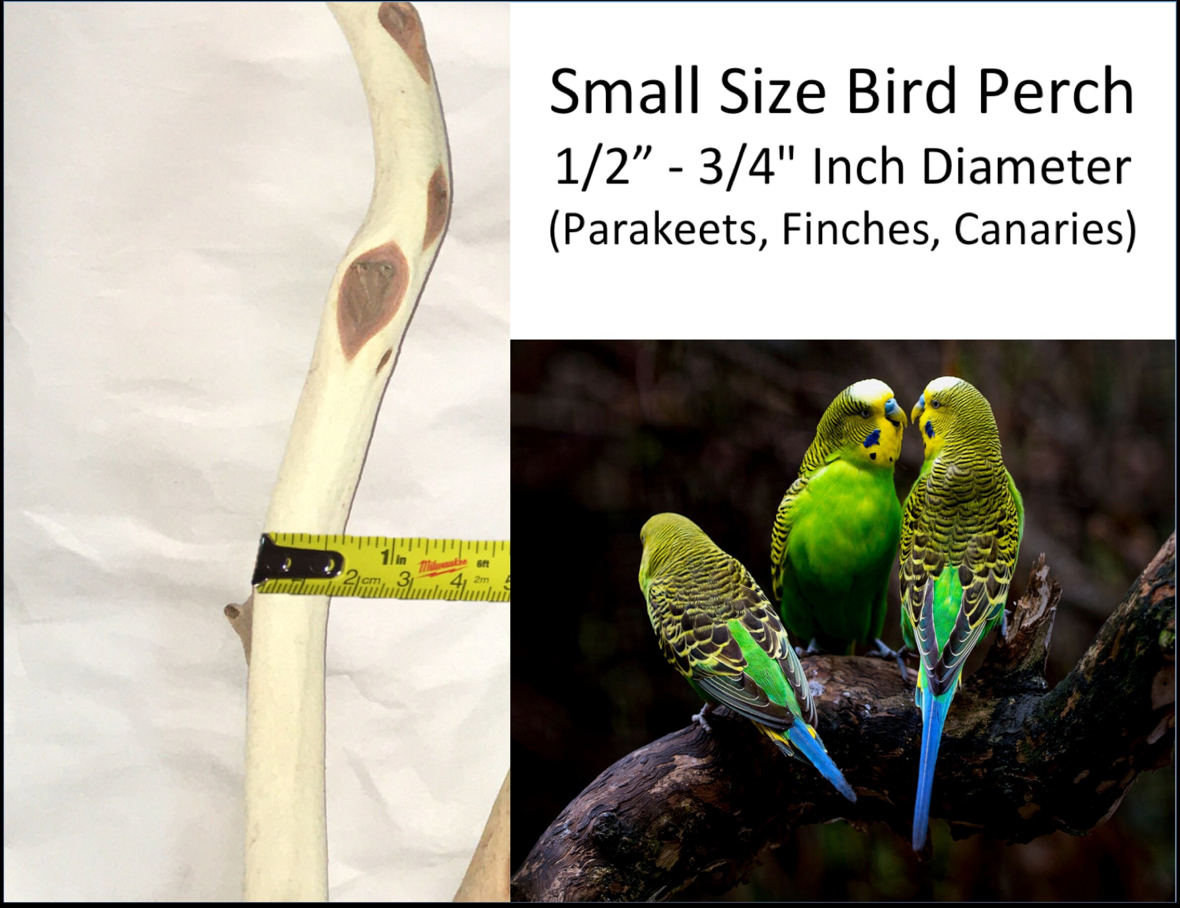 Manzanita Bird Perches Custom Built per Order. Sandblasted Etsy