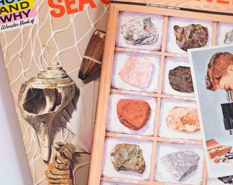 Vintage boeken voor junk journaling: schelpen en stenen & mineralen