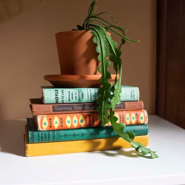 Stack of 5 decorative vintage books in turquoise, aqua, yellow, orange, and rusty red