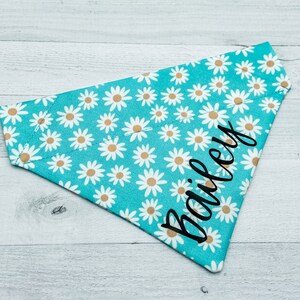 May include: A turquoise dog bandana with a white daisy pattern and the name "Bailey" in black script. The bandana is made of fabric and is designed to be worn around a dog's neck.