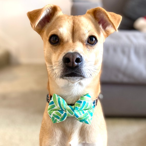 Spring Dog Bow Tie Medium Dog Bows Boy Dog Accessories Dog