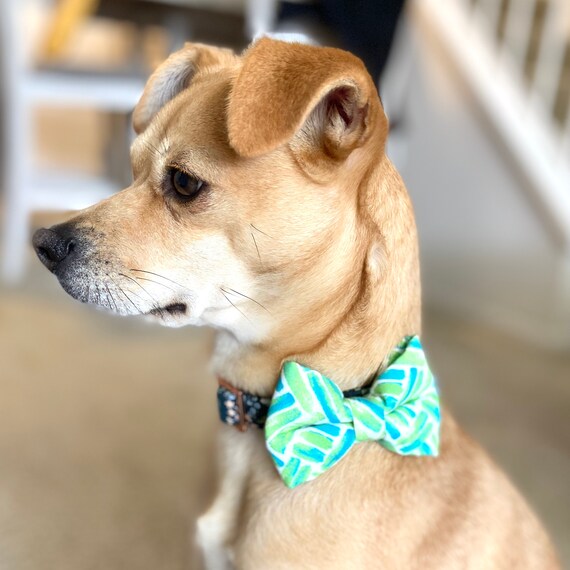 Big dog hotsell bow tie