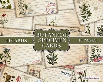Botanical Specimen Journal Cards - Vintage Botanical - Digital Printable - Junk Journal Ephemera - Botanical Cards - Junk Journal Tuck In