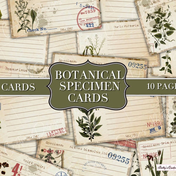 Botanical Specimen Journal Cards - Vintage Botanical - Digital Printable - Junk Journal Ephemera - Botanical Cards - Junk Journal Tuck In