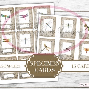 Dragonfly Specimen Cards - Phrases - Typewriter Font - Printable - Ephemera - Junk Journal Label - Phrases - Journal Phrases - Journal Words