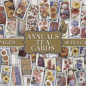 Einjährige Faux Teekarten - Digitale Teekarten - Junk Journal Ephemera - Verschönerung - Digital - Printable - Vintage Label