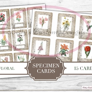 Floral Specimen Cards - Phrases - Typewriter Font - Printable - Ephemera - Junk Journal Label - Phrases - Journal Phrases - Journal Words