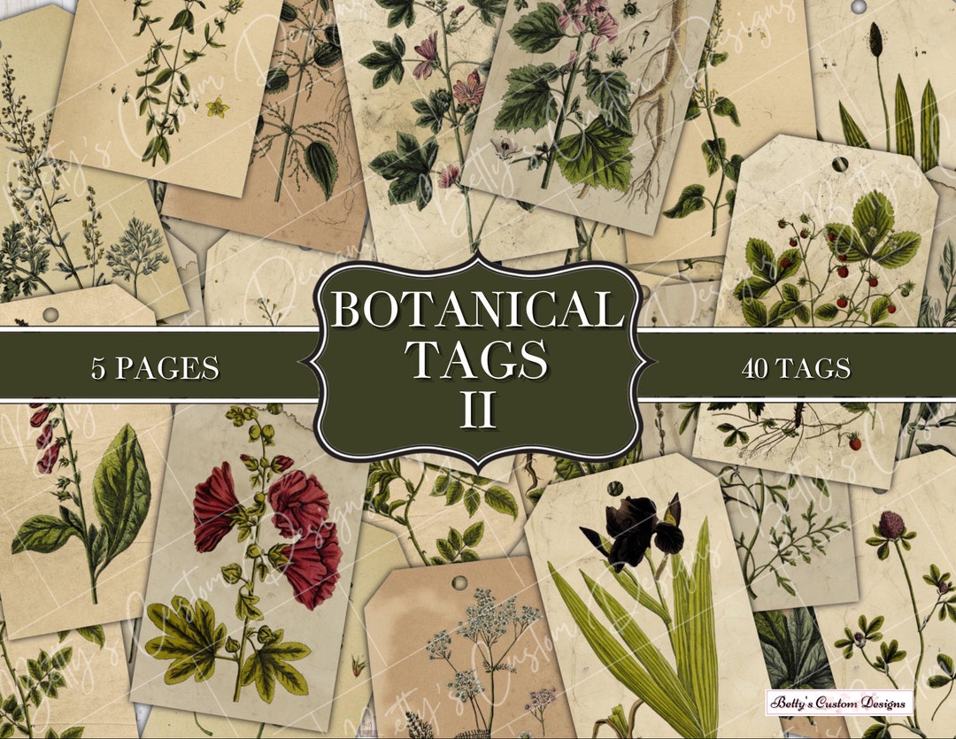 Botanical Tags II Printable Tags Junk Journaling Digitals Junk ...