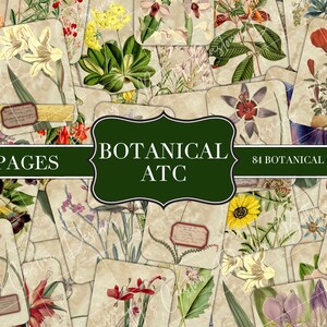 Cartões de diário botânico - Cartões de diário naturalista - Planos de ervas - Imprimível - Digital - ATC