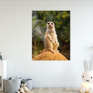 Meerkat Digital Download artwork for Meerkat lovers