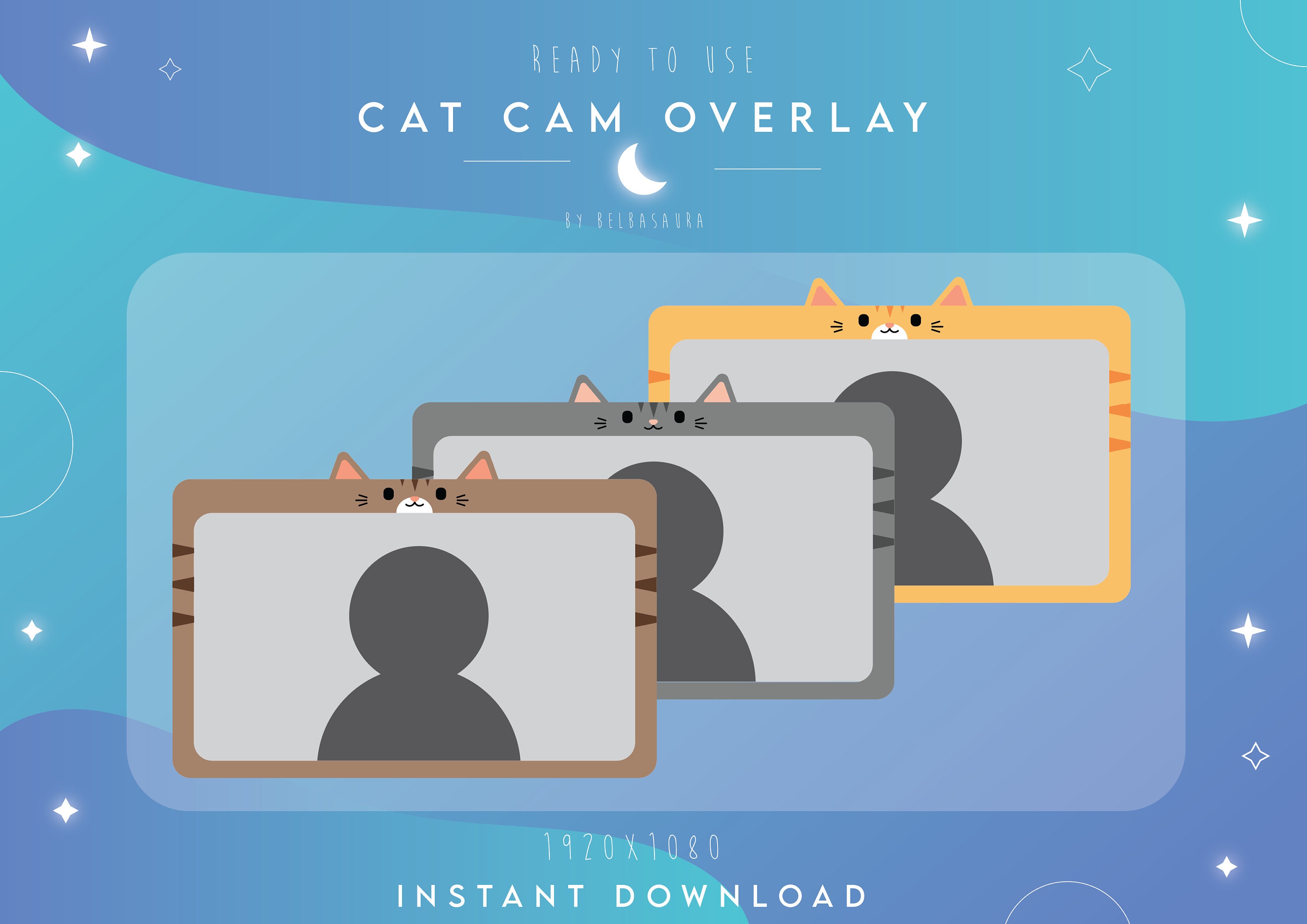 Cat Cam Overlay Pack 4 instant digital download Etsy