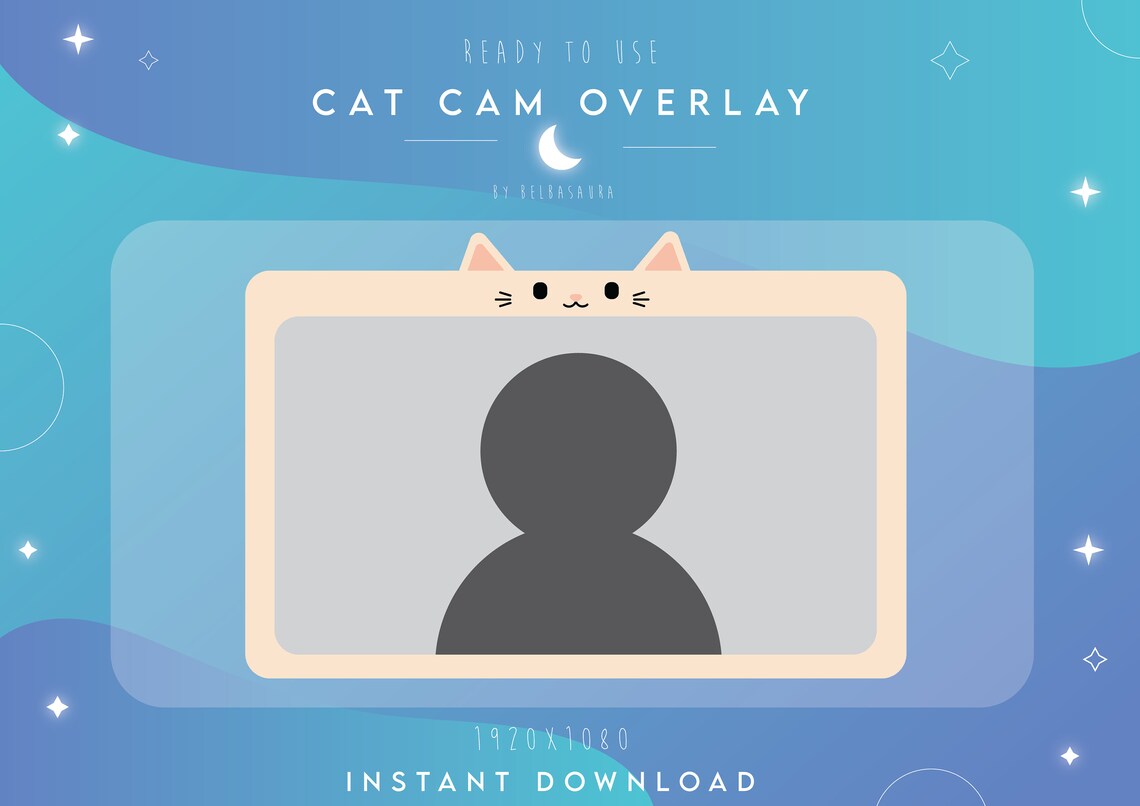 Cat Cam Overlay Pack 3 instant digital download Etsy