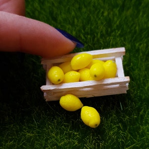Miniature Fruits 