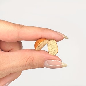May include: Two miniature bread slices, one with a golden-brown crust and the other with a light tan interior. The bread is held between fingers against a white background, showcasing the detailed texture and color variations.