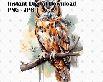 Watercolour Owl Sublimation Digital File | Printable Owl Design | Instant Download