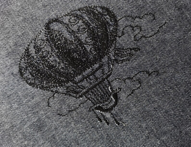 Embroidered picture balloon embroidery