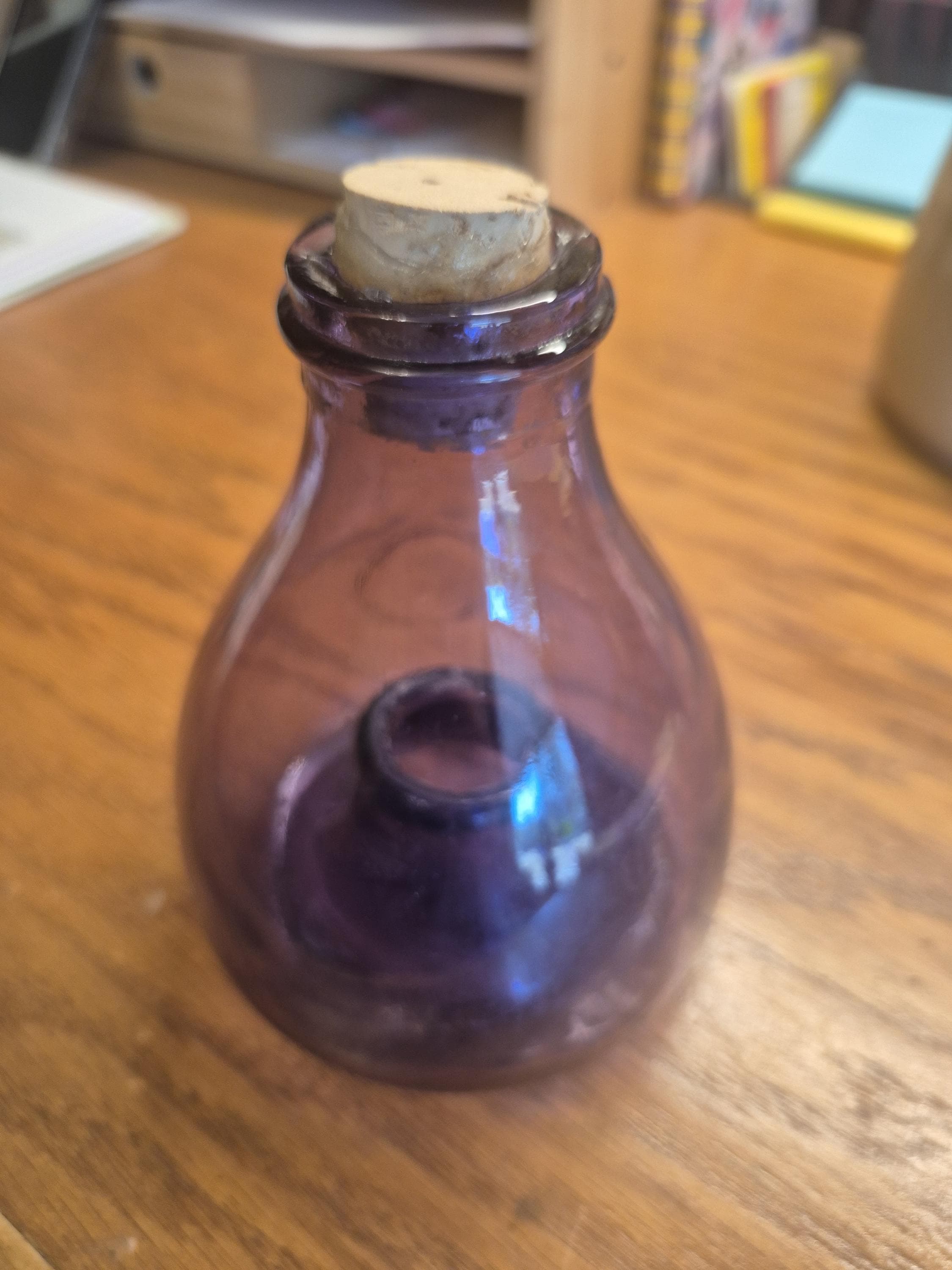 Glass Fly Catcher Vintage - Etsy