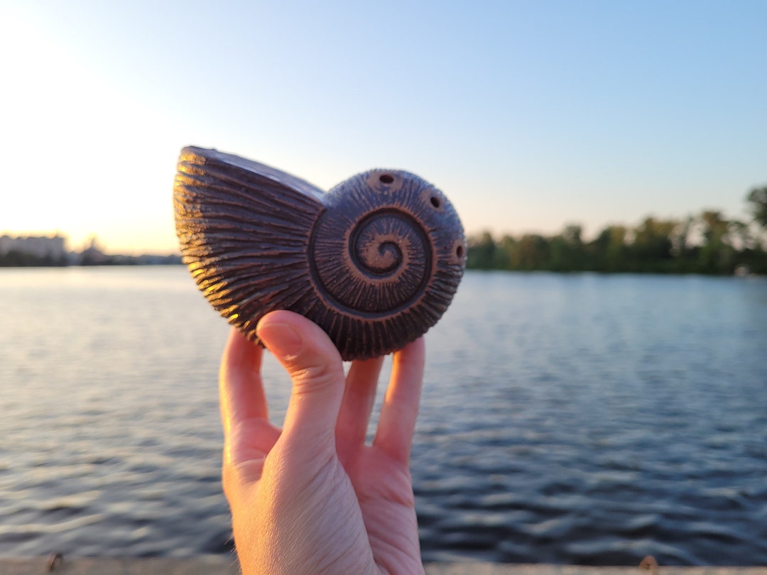 Ancient Musical Instrument Ocarina Seashell in Key D 432hz / Ammonite ...