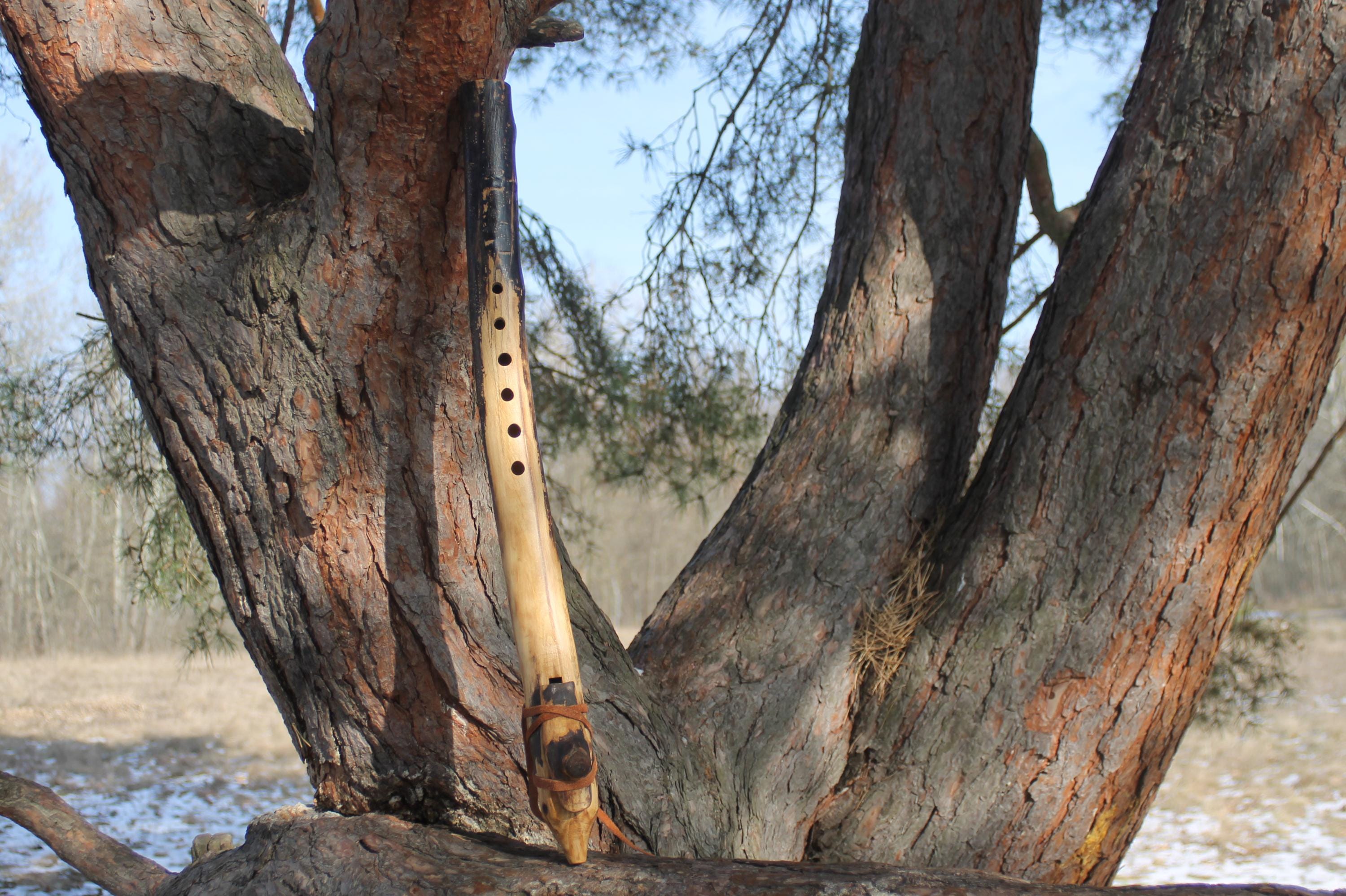 Native American Style Flute * Branch Flute * low C minor 432Hz
