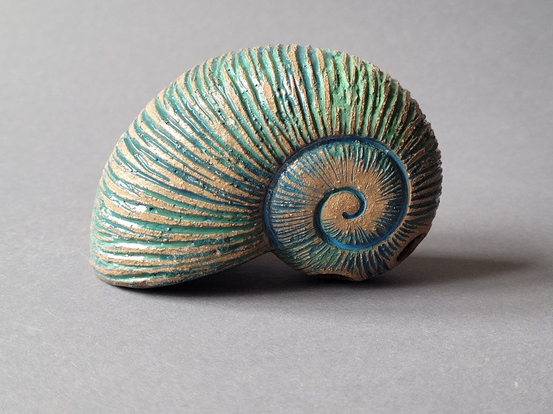 Ancient Musical Instrument Ocarina Seashell in Key G# 432hz / Ammonite ...