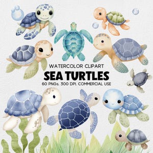 Aquarell Baby Schildkröte Clipart, niedliche See Kinderzimmer Kunst, wunderliche Meerestier, PNG Illustrationen für Schildkrötenliebhaber & Ozean Dekor
