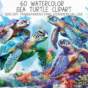 60 aquarel zeeschildpad clipart, schattige nautische oceaandieren png, commercieel gebruik schildpad graphics, knutselen, zeeschildpad junk tijdschriften