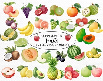 Obst Aquarell Clipart Bundle, kommerzielle Nutzung PNGs (digitaler Download)