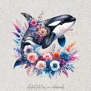 Boho Chic Watercolor Floral Orca Clipart, for Sublimation Tumblers,  Killer Whale Wall Art, PNG Format - Instant Download for Commercial Use