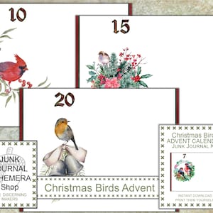 Calendrier de l&#39;Avent des oiseaux de Noël Kit de journal indésirable