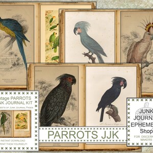Vintage Parrots Junk Journal Kit