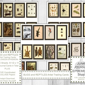 Halloween insekter och reptiler konstnärssamlarkort, journalkort, Halloween-ephemera, collagepapper, skräpjournal-ephemerabutik